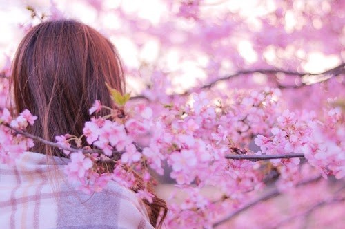 桜の中にいる女性