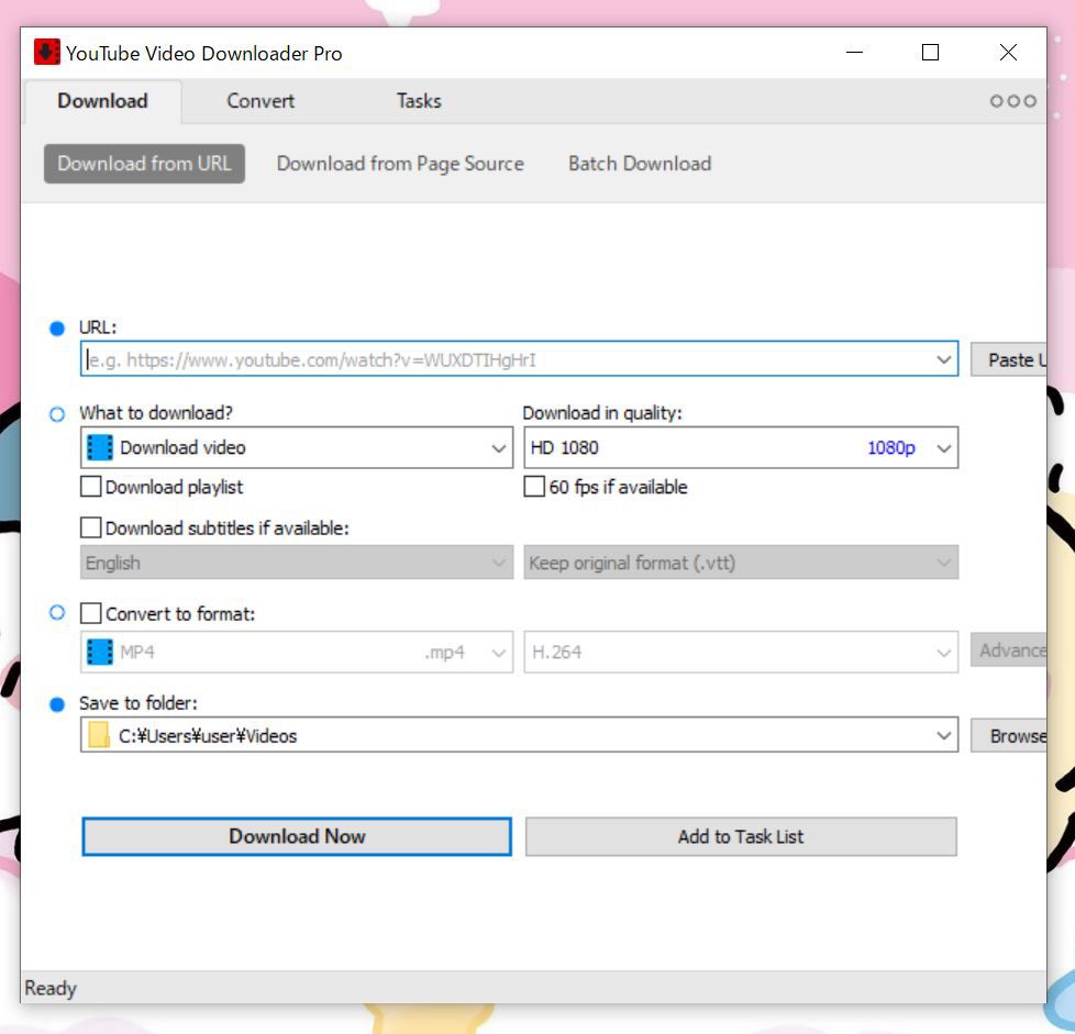 Robin YouTube Video Downloader Proの起動画面